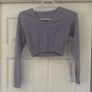 Brandy Melville Gray Purple Fitted Crop Blouse